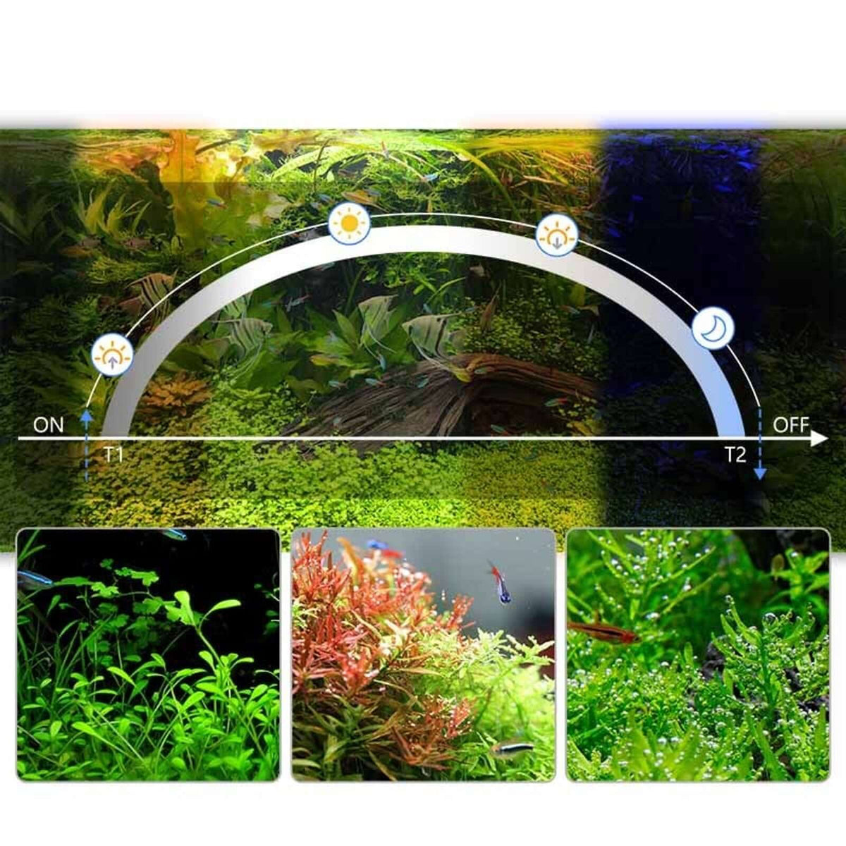 Hygger Aqua Sense Aquarium LED Light display showcasing adjustable lighting for vibrant freshwater aquariums.