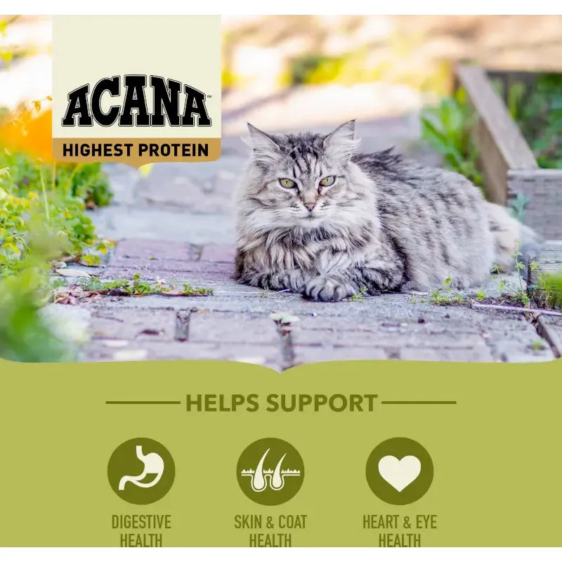 Acana Highest Protein Grasslands Dry Cat Food 1.8kg with a healthy cat outdoors in a natural setting.