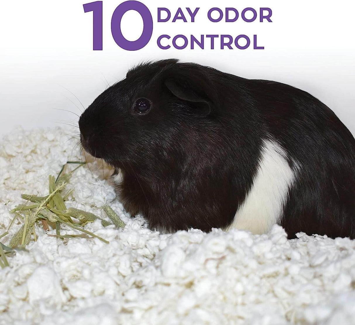Carefresh Small Animal Paper Bedding provides 10 day odor control for small pets, offering a soft and safe environment.