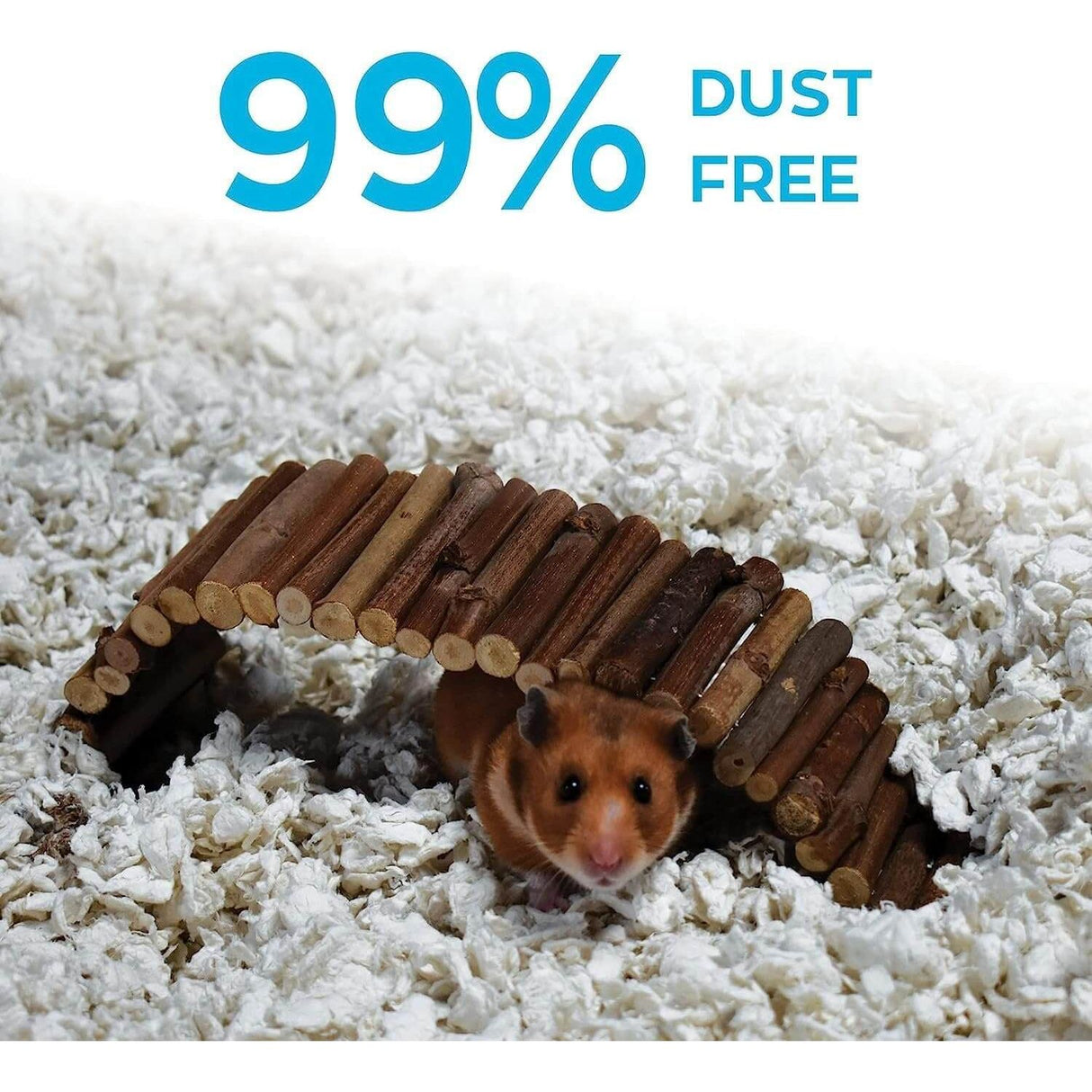 Carefresh Small Animal Paper Bedding providing a soft, safe, and dust-free environment for small pets.