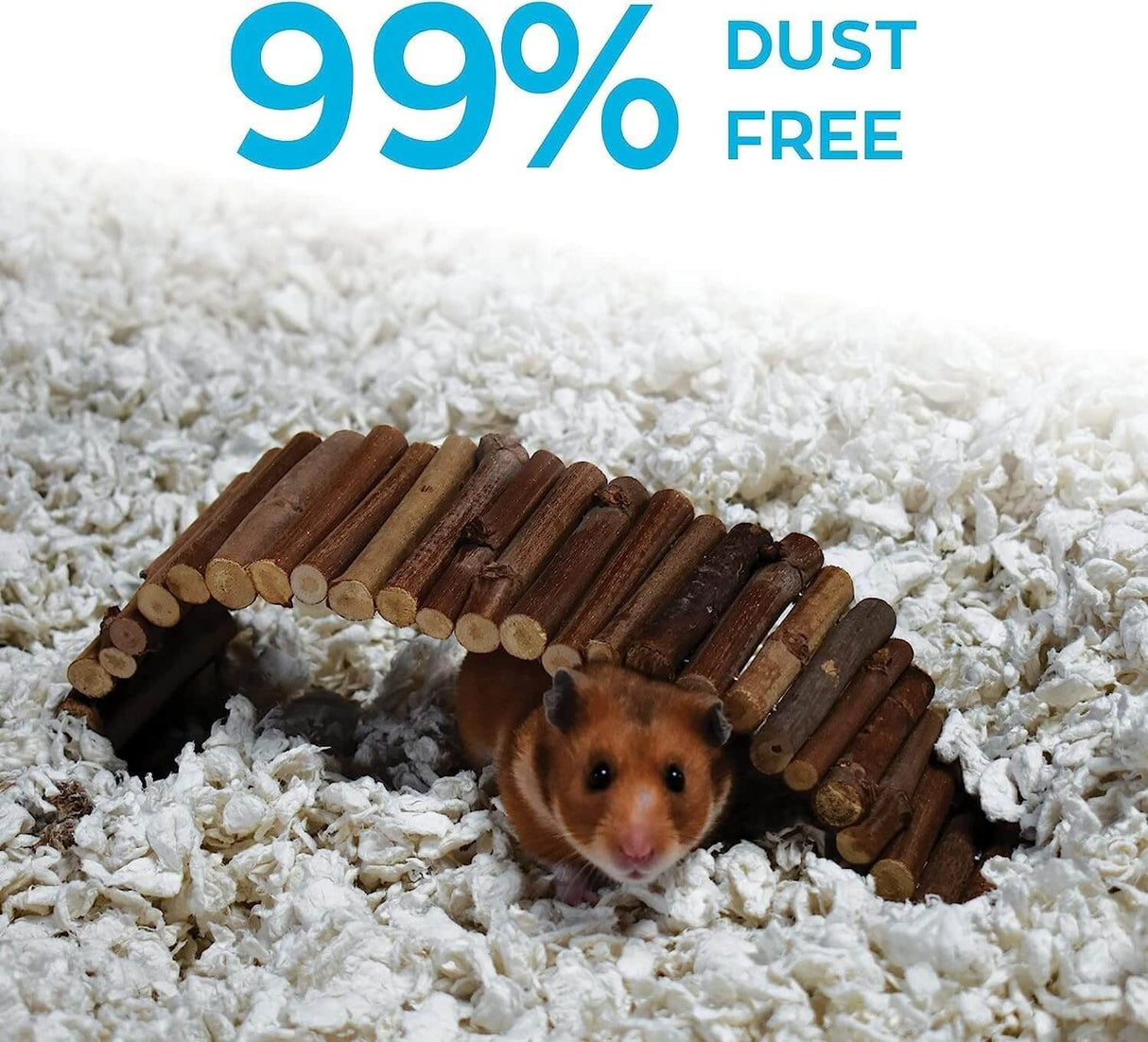 Carefresh Small Animal Paper Bedding providing a soft, safe, and dust-free environment for small pets.