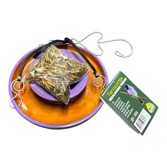 Elaine's Birding Mealworm Feeder with a bag of mealworms on a colorful dish, perfect for attracting garden birds.