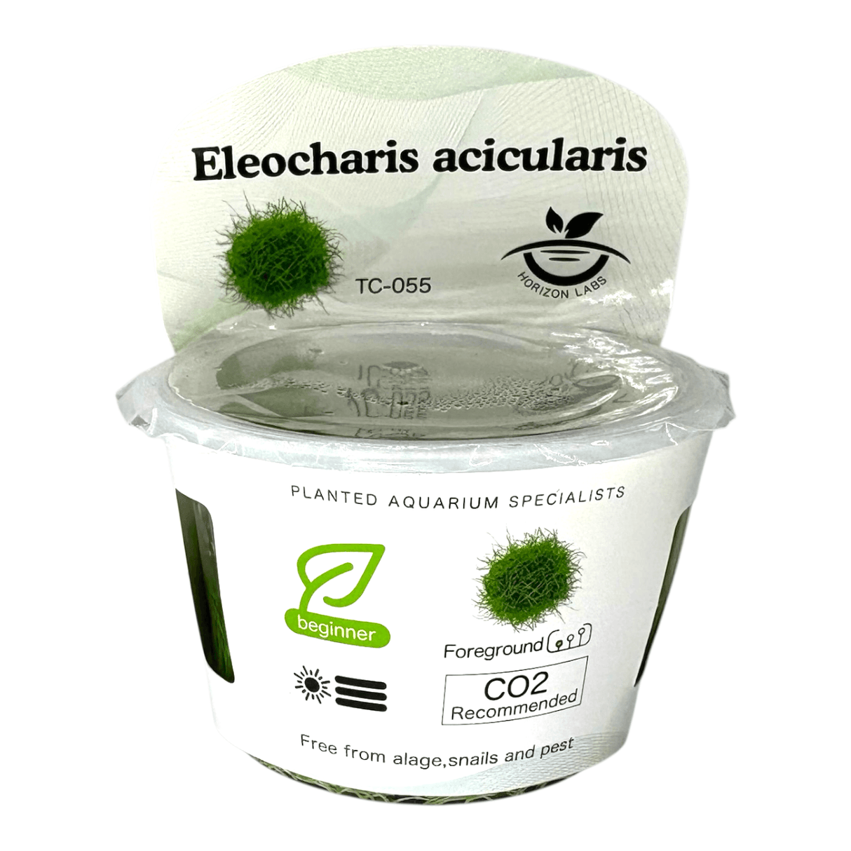Eleocharis Pusilla Mini TC Tropical Plant in transparent packaging for planted aquariums.