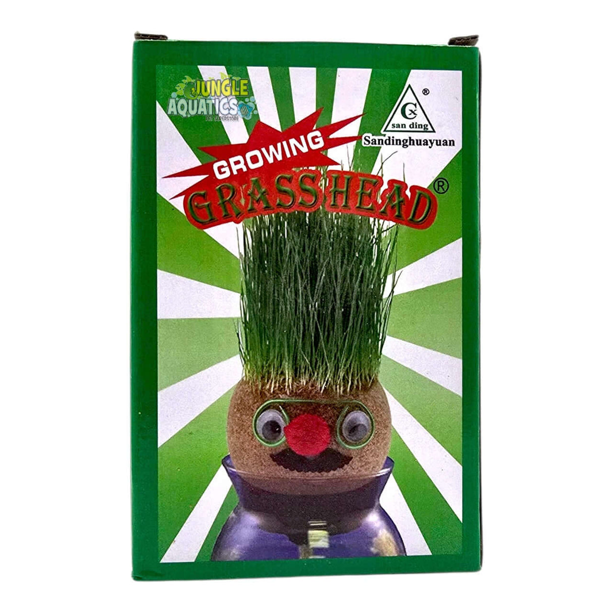 Growing Grass Heads fun gardening activity with assorted face designs and vibrant grass growth.