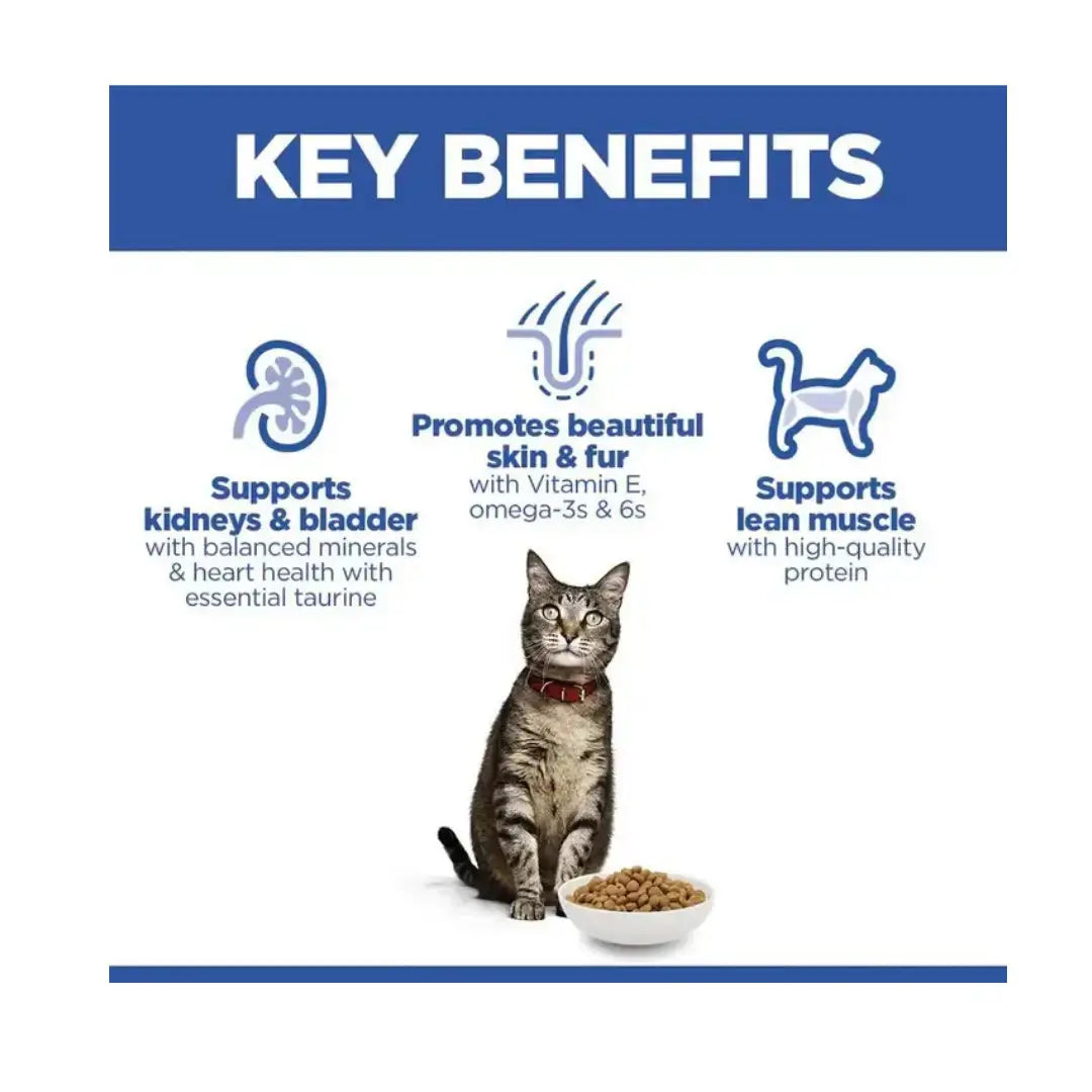 Key benefits of Hills Science Plan Adult Cat Food Salmon Flavour including support for kidneys, skin, fur, and lean muscle.