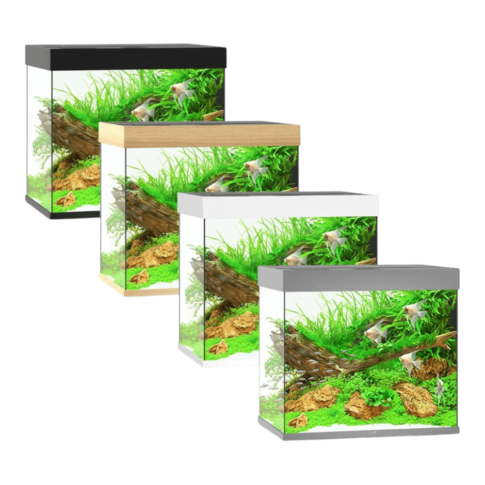 Juwel Lido Series aquariums showcasing four different sizes and styles with aquatic plants and decorations.