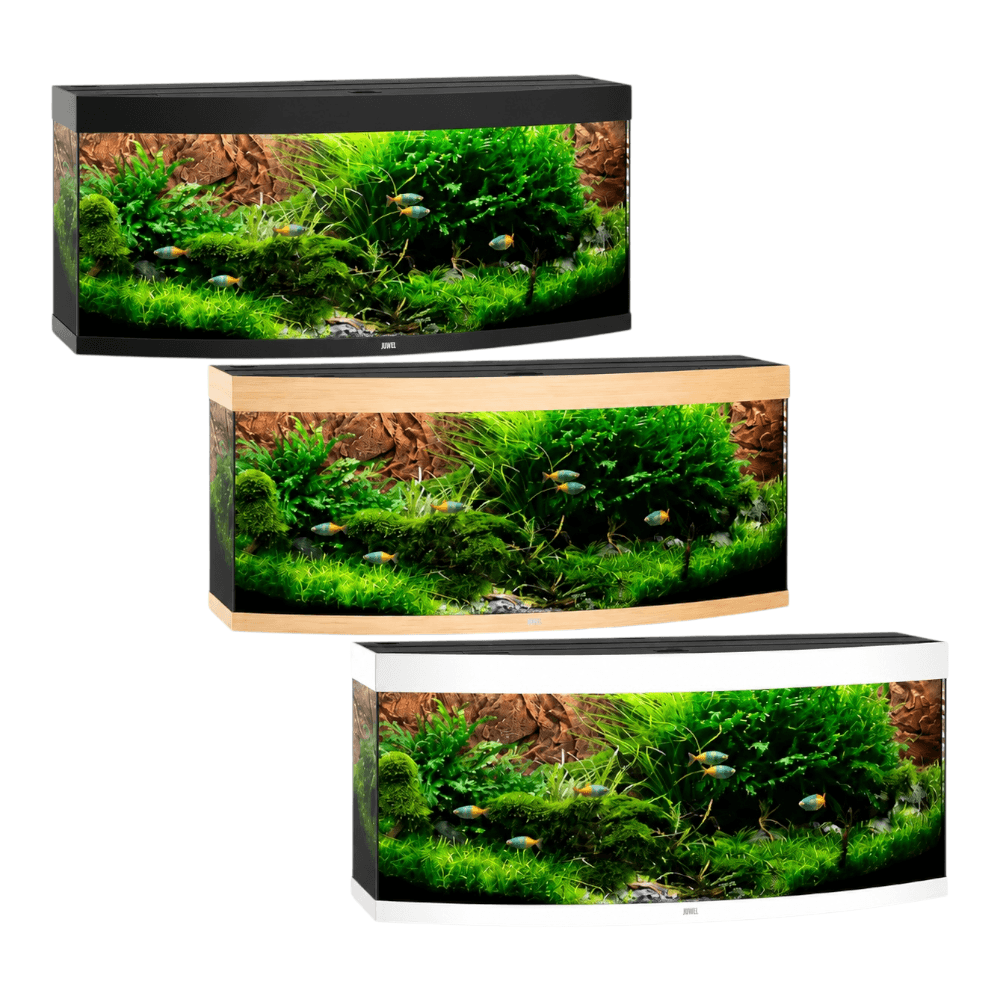 Juwel Vision Series aquariums in black, brown, and white showcasing vibrant aquatic plants and fish.