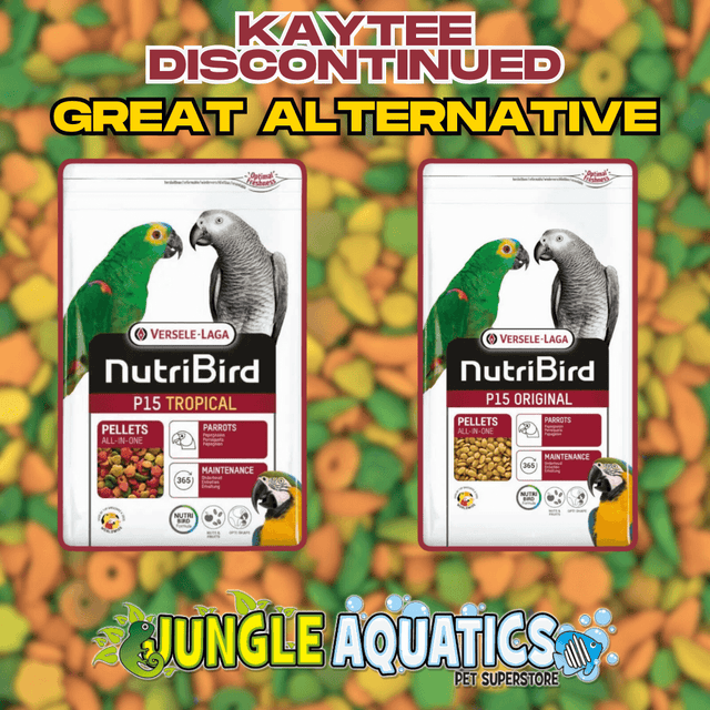 Kaytee Food Alternative