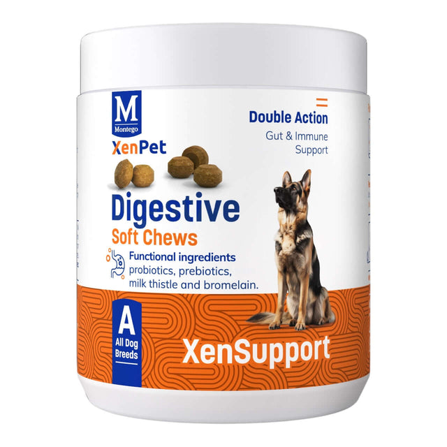 Montego XenPet Digestive Soft Chews - 240g container with dog image and digestive health details.