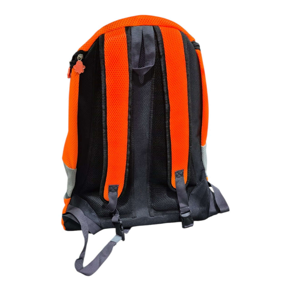 Pet Carry Backpack with breathable mesh and adjustable straps for secure pet travel.
