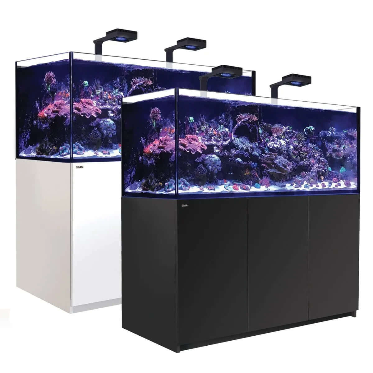 Red Sea Reefer G2+ 625 Aquarium, showcasing dual color cabinet options and vibrant coral reef habitat.