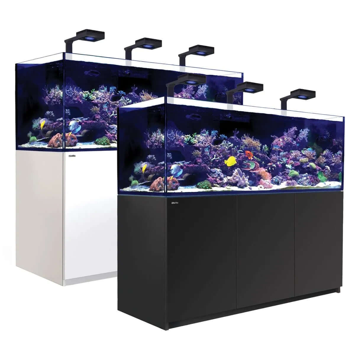 Red Sea Reefer G2+ 750 Aquarium setup featuring two tanks with vibrant coral and fish, showcasing advanced filtration and lighting.