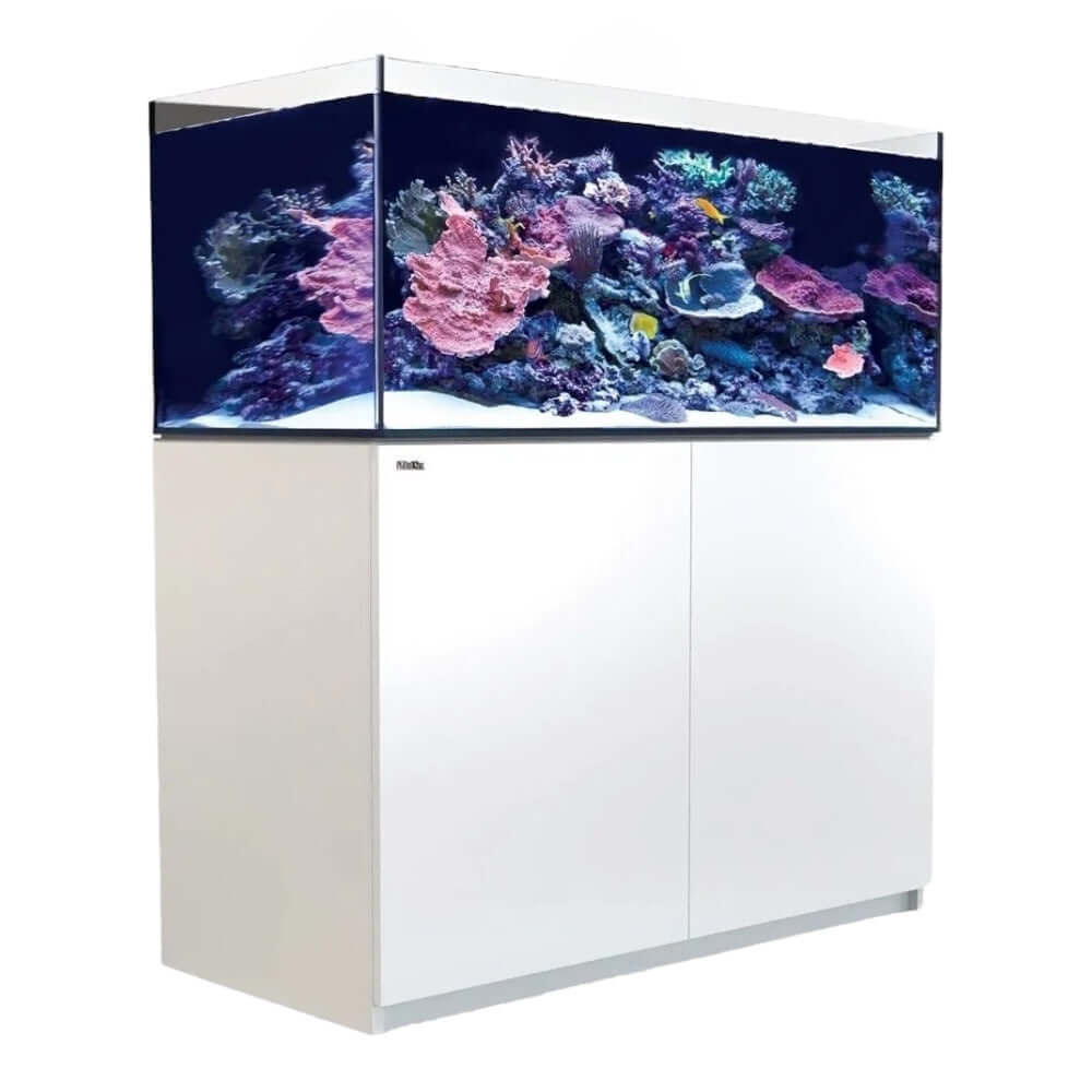 Red Sea Reefer G2+ 425 Aquarium showcasing vibrant coral and marine life in a modern cabinet design.