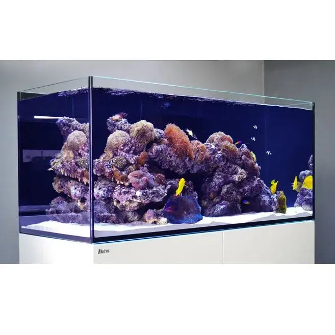 Vibrant Red Sea Reefer G2+ 525 Aquarium showcasing coral and colorful fish in a well-designed reef ecosystem.