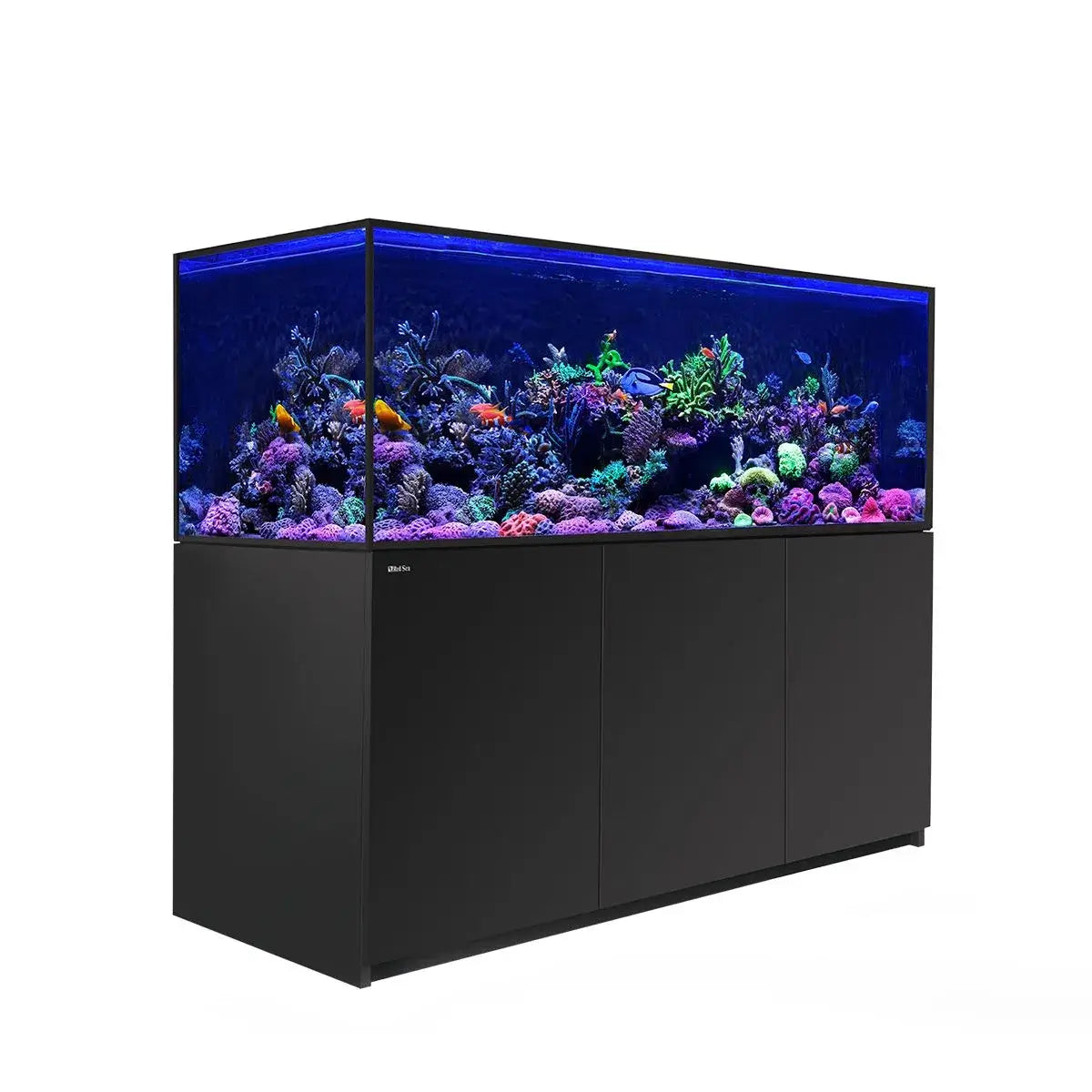Red Sea Reefer G2+ S850 aquarium with vibrant coral reef and fish illuminated by blue LED lighting.