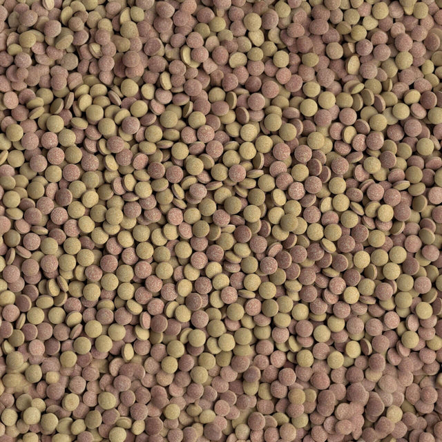 Tetra Tabimin bottom feeder tablets in various colors for fish nutrition and balanced feeding.