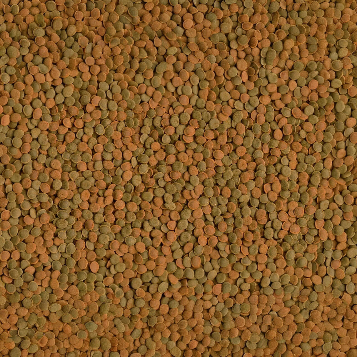 Close-up of assorted lentils, showcasing green and orange hues, ideal for healthy meals and recipes.