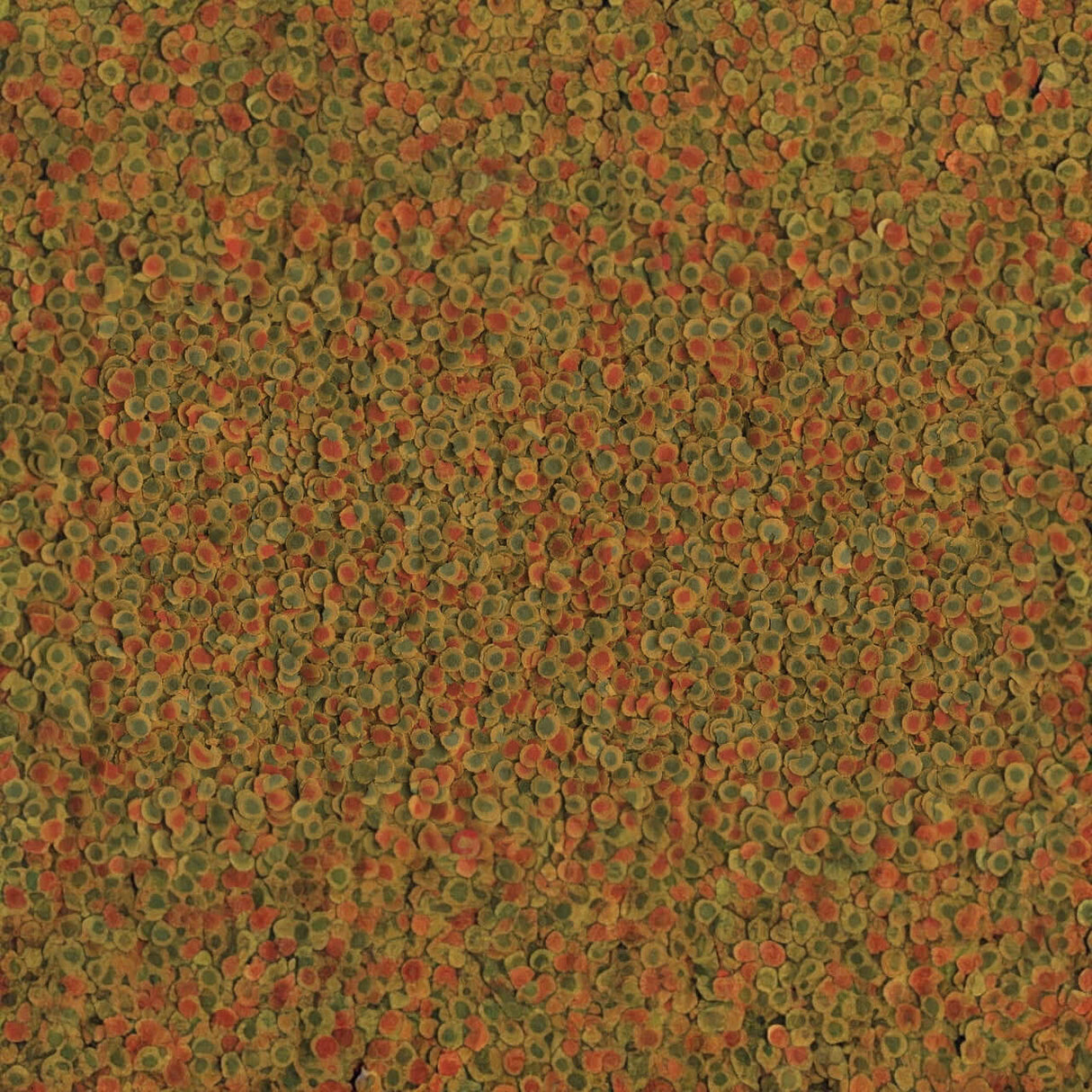 Image of TetraPRO Energy Crisps, a premium fish food featuring colorful, nutritious flakes for enhanced vitality.