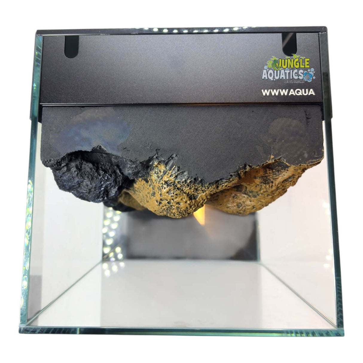 Themed WWW Betta Aqua Aquariums featuring a unique rock background in a compact design.