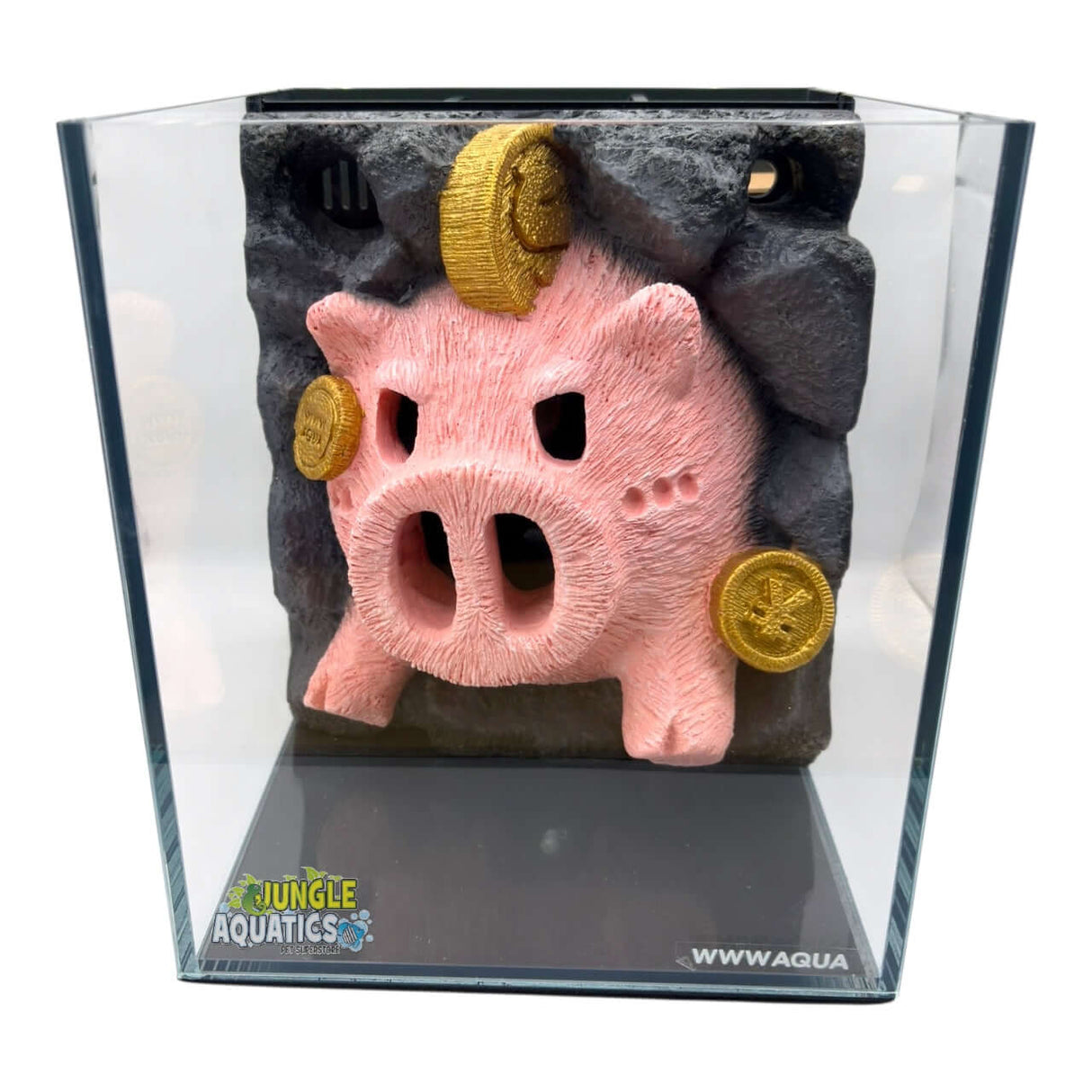 Themed WWW Betta Aqua Aquariums featuring a decorative piggy bank background.