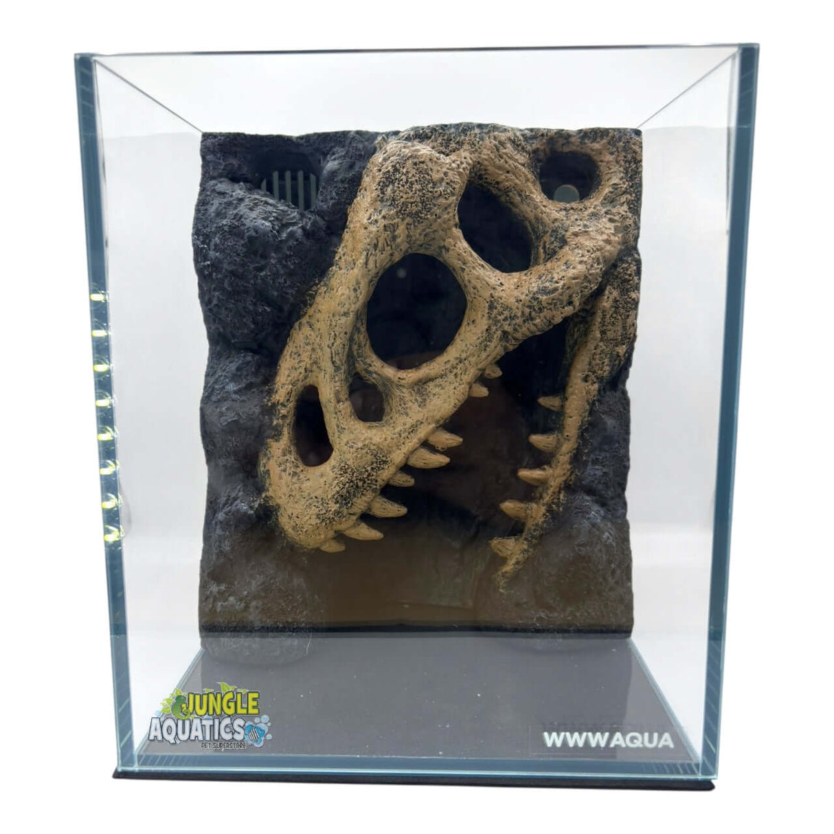 Themed WWW Betta Aqua Aquariums display with dinosaur skull decoration in a stylish glass design.
