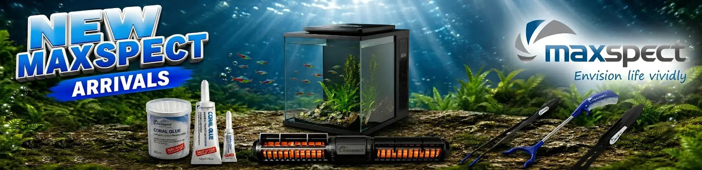 New Maxspect arrivals including aquarium, supplies, and tools for vibrant aquatic life.