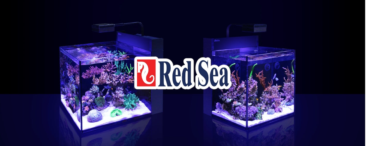 Red Sea Max Nano and Peninsula Marine Reef Aquariums