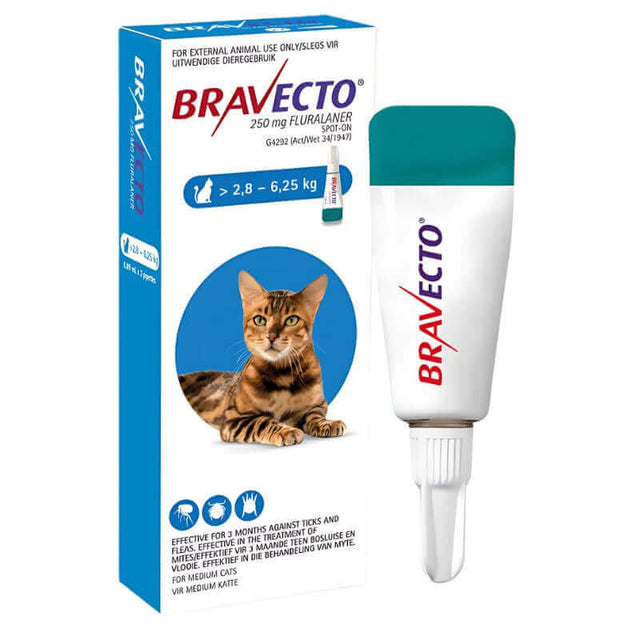 Bravecto Medium Cat 2.8-6.25kg Spot On solution for fleas and ticks with packaging, suitable for continuous protection.