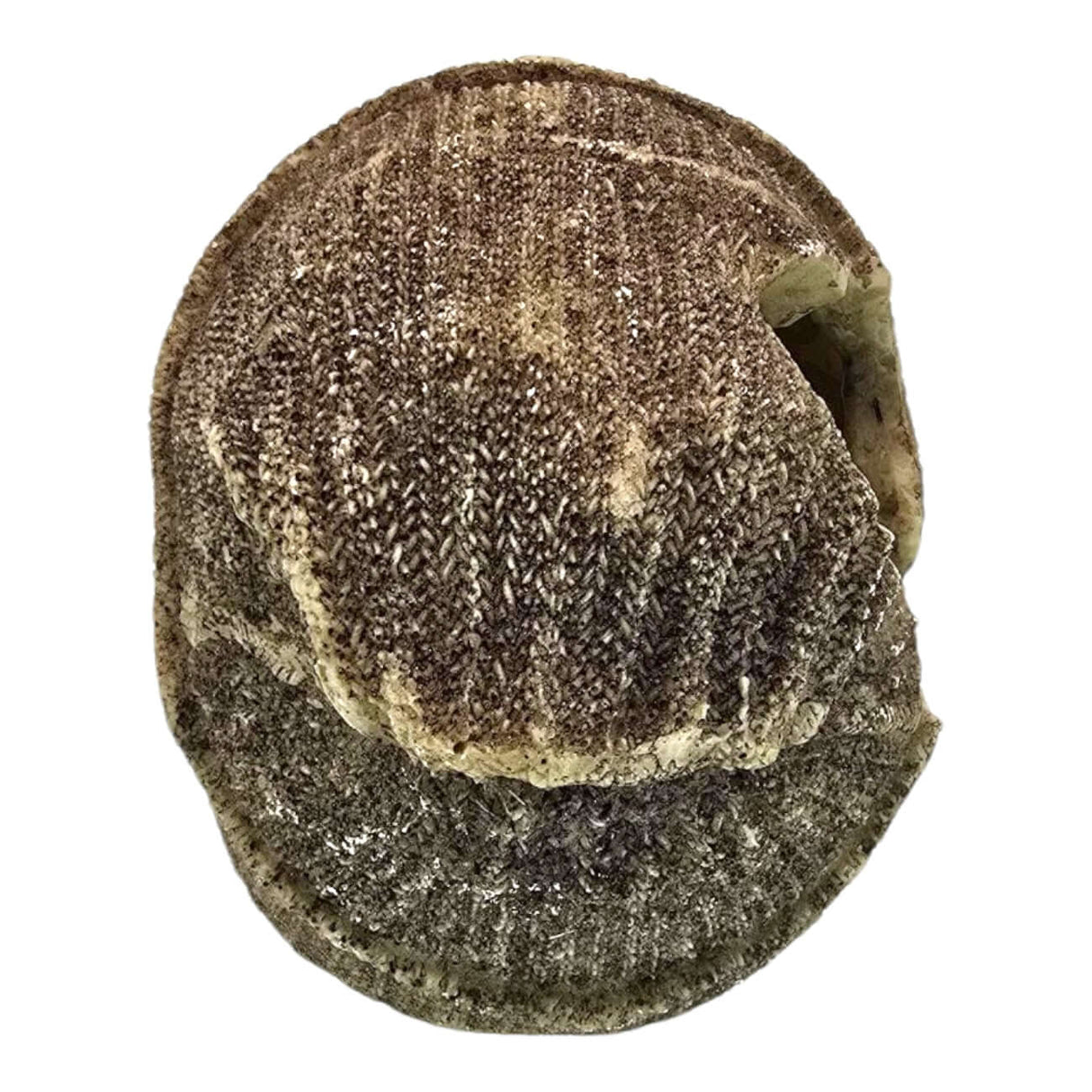 Cozy brown knit-style beanie for aquarium skull ornament, featuring textured design and warm, earthy colors.