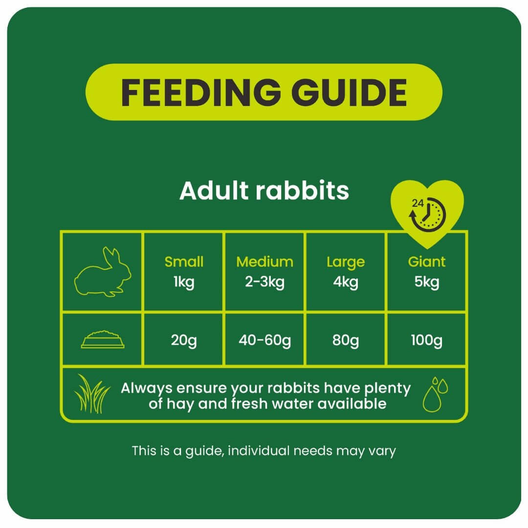 Feeding guide for adult rabbits, detailing portion sizes for small to giant breeds and importance of hay and fresh water.