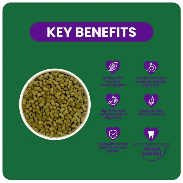 Key benefits of Burgess Excel Chinchilla Nuggets with Mint, highlighting health features and nutritional support.