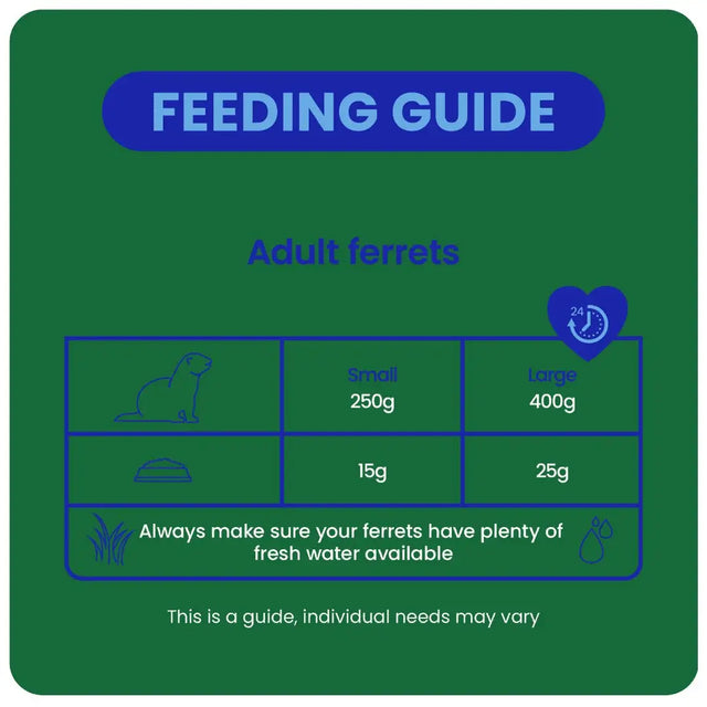 Feeding guide for adult ferrets, outlining portion sizes and water needs for small and large ferrets.