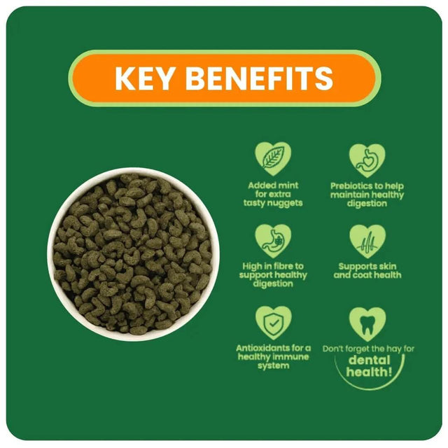 Key benefits of Burgess Excel Guinea Pig Nuggets, highlighting mint, digestive health, fiber, and skin support.