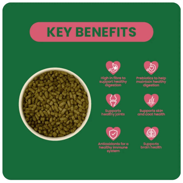 Key benefits of Burgess Excel Mature Adult Rabbit food, highlighting digestion, joint health, and immune support.