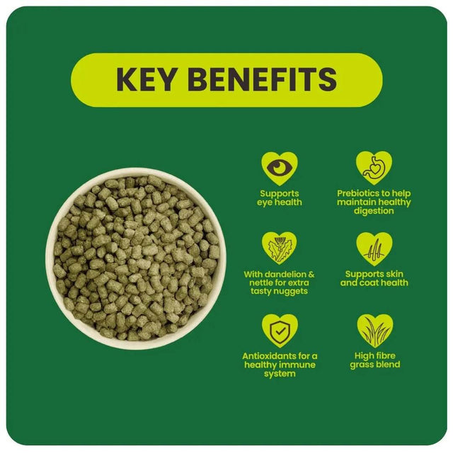 Key benefits of Burgess Excel Adult Rabbit Nuggets highlighting eye health, digestion, skin care, and nutritious ingredients.