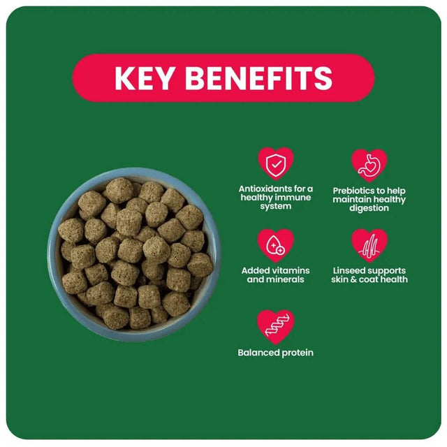 Burgess Excel Rat Nuggets benefits, including antioxidants, prebiotics, vitamins, minerals, and balanced protein for rats.