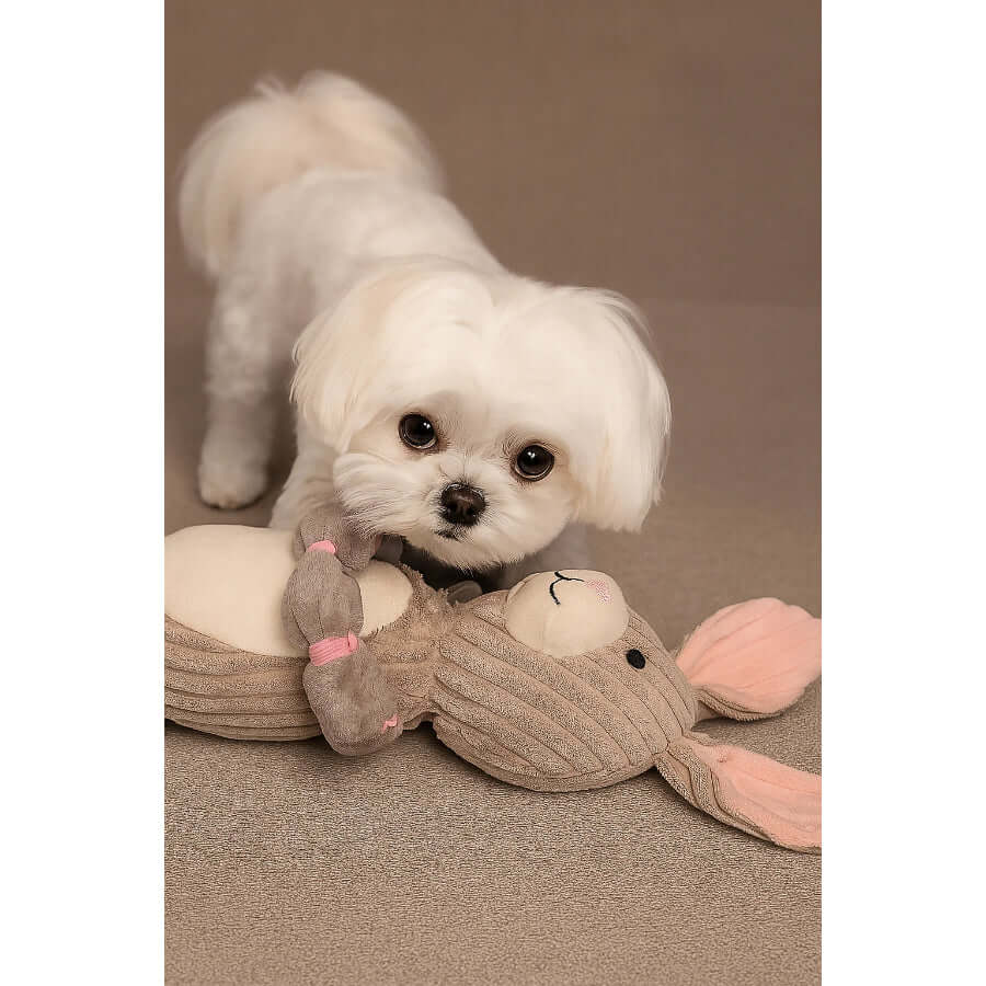 Charming Pet Thunder Tuggerz Bunny toy with a small white dog playing and tugging on its rope arms.