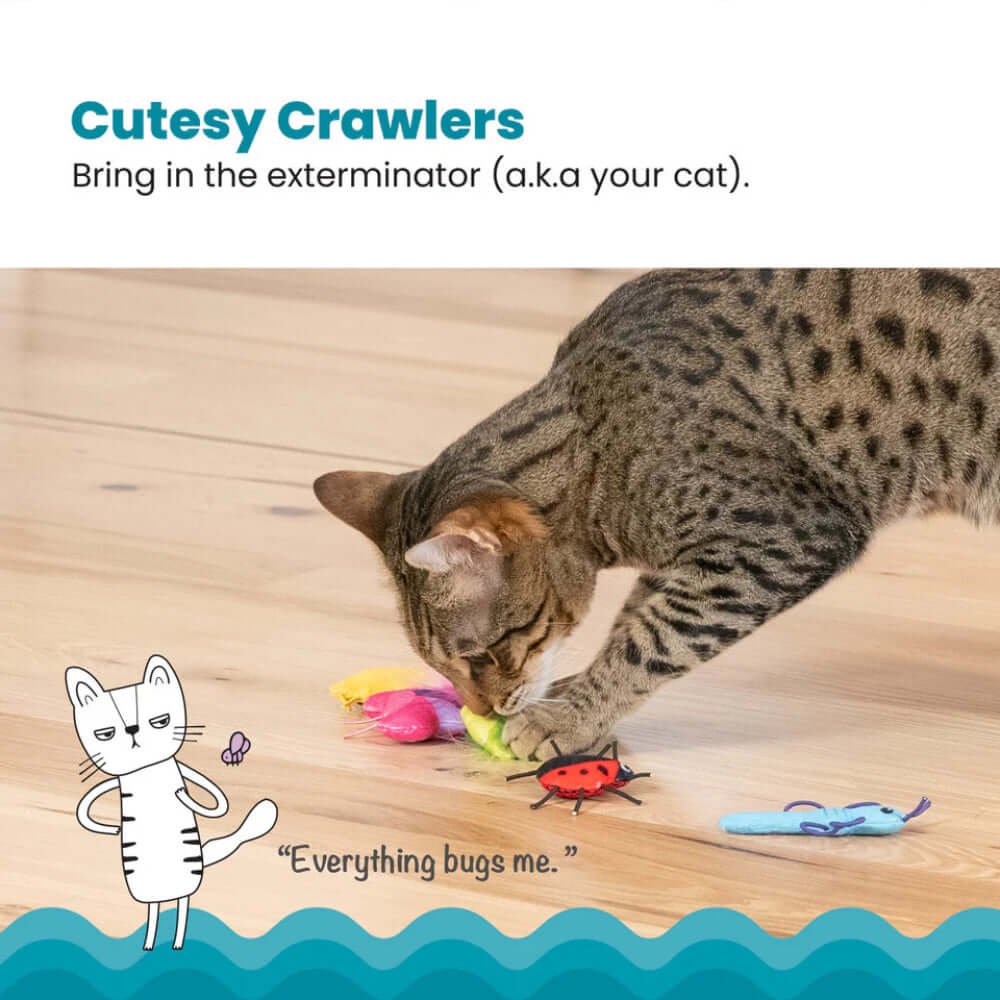 Cute As A Bug Plush Cat Toys 6pk featuring a cat playing with bug-themed plush toys.