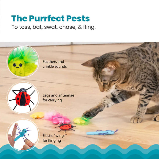 Cute As A Bug Plush Cat Toys 6pk includes bug-themed toys for cats to toss, bat, swat, and chase.