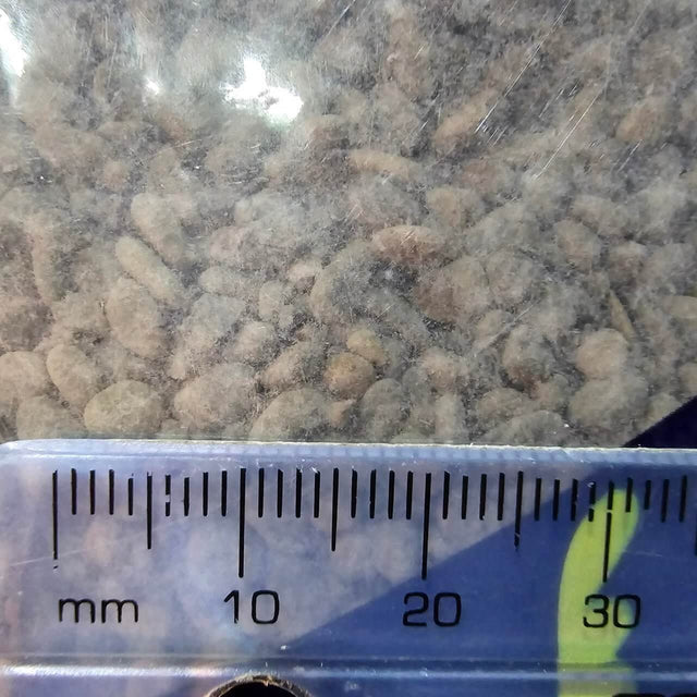 Close-up of dark polished pebbles with a ruler for size reference, ideal for enhancing aquarium habitats.