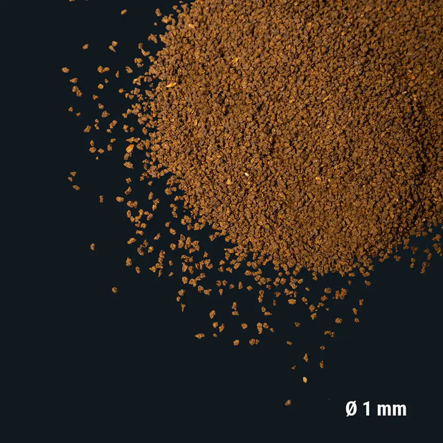 Dennerle Betta Booster soft granules for fighting fish, enriched with insects, probiotics, and omega 3 for balanced nutrition.