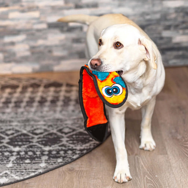 Durablez Snake Large plush dog toy held by a Labrador, showcasing vibrant colors and tough design.