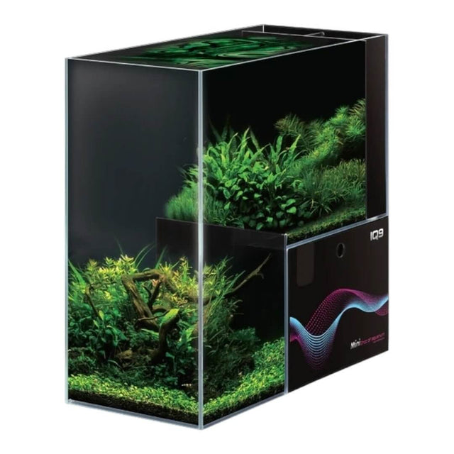 Dymax IQ9 Drop Off dual aquarium showcasing vibrant greenery in a stylish rimless design, perfect for marine and freshwater use.