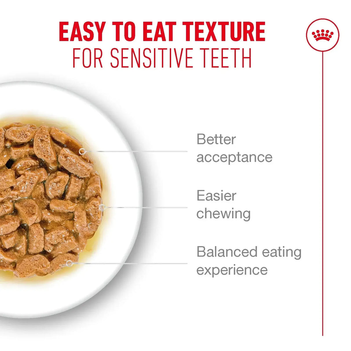 Royal Canin Ageing +11 Cat Wet Food Pouch 85g easy to eat texture for sensitive teeth