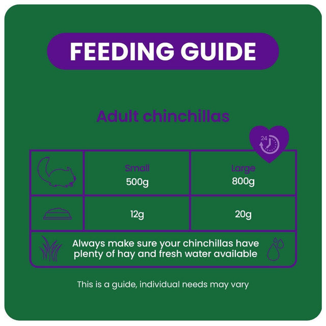 Feeding guide for adult chinchillas showing food portions for small and large sizes, with care tips for hay and water.