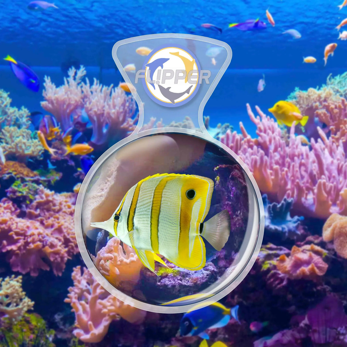 Flipper DeepSee 4-inch magnified viewer showcasing a vibrant yellow fish in a colorful coral reef aquarium.