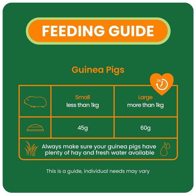 Feeding guide for guinea pigs, detailing portion sizes for small and large pets and emphasizing hay and water availability.