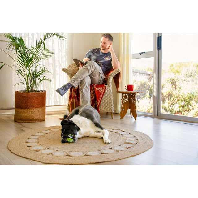 A man reading while a relaxed dog with a Rogz Grinz Fetch Frog Toy lies on a rug in a cozy living room.