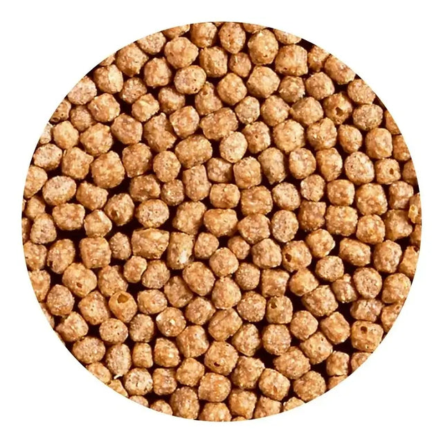 Hikari Goldfish Wheat-Germ Pellets close-up, premium nutritious fish food for goldfish and koi.