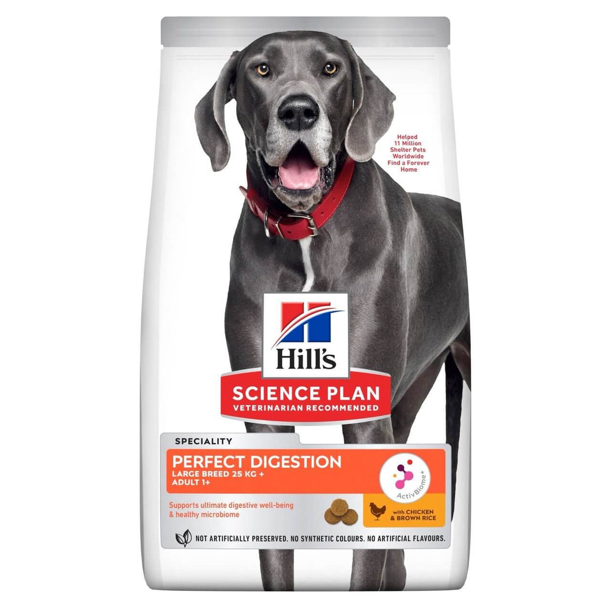 Hill's Science Plan Perfect Digestion Large Breed Adult Dog Food bag with a Greyhound on the front, promoting digestive health.